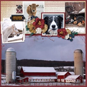 Winter Farm