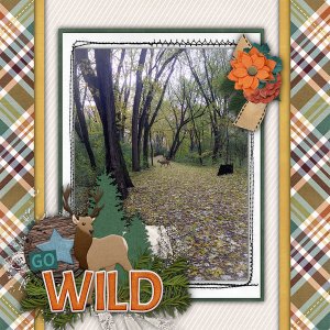 Deer in the park