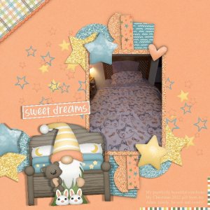 Goodnight Gnomes