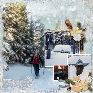 JBS_collab_WinterWoodlands_MFish_MaskedMemories2_04_600