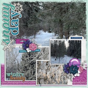 Snowy Day