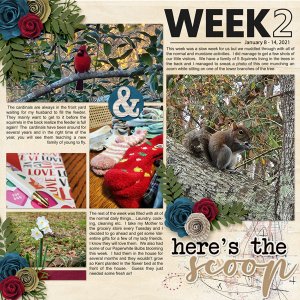 Week 2