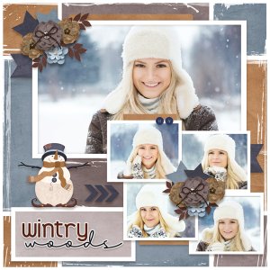 Wintry woods