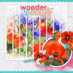 Wonder + Beauty