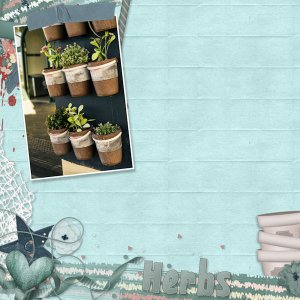 Herb Pots