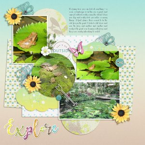 Frogs