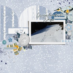 Winterful days