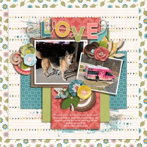Mobile Groomer