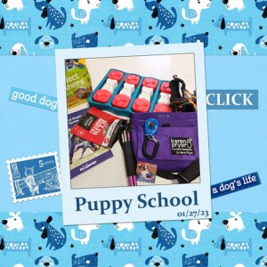 Puppy School