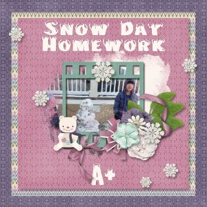 Snow Day Homework