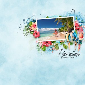 Hawaii by Jumpstart Designs