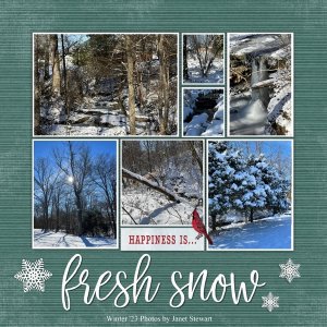 Fresh Snow