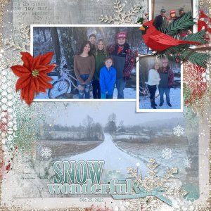 Snow Wonderful