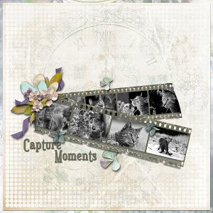 Capture Moments