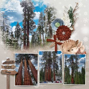 Kings Canyon 2