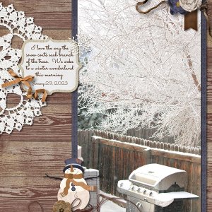 January 29 Snow