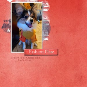 Fashion Plate