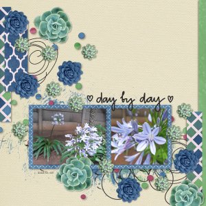 Day by Day