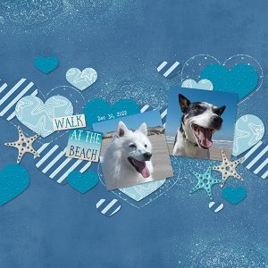 Dogs at the Beach