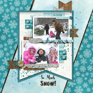 So Much Snow