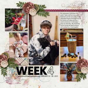 Project Life - Week  4