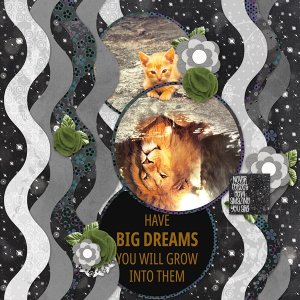 Have Big Dreams