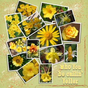 Yellerflowers