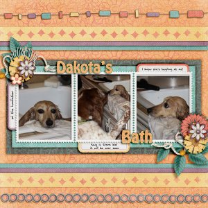 Dakota's Bath