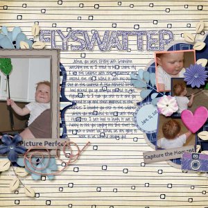 Flyswatter