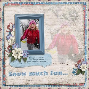 SnS-SnowMuchFun