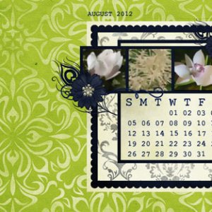 Aug DeskTop