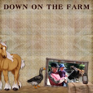 Down on the Farm