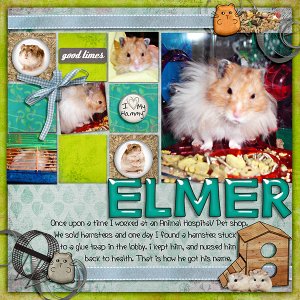 I love my Hamster
