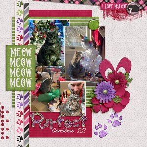 Purrfect Christmas