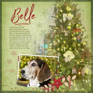 Belle of Christmas