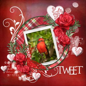 Tweet