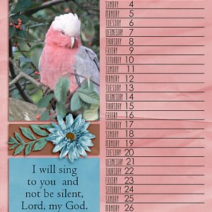 February 2024 Calendar