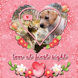 Love at First Sight