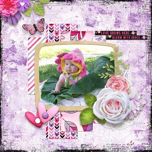 Love Grows Hre