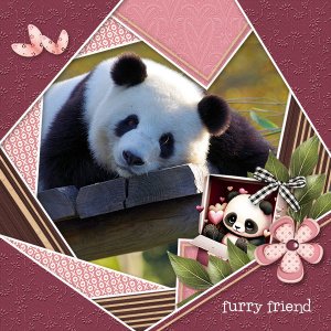 Furry Friends