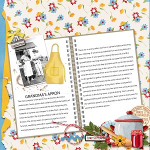 Grandma's Apron