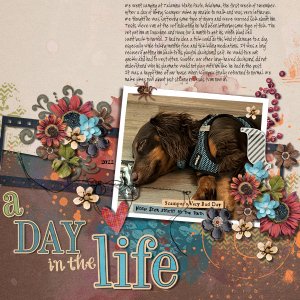 A Day In The Life