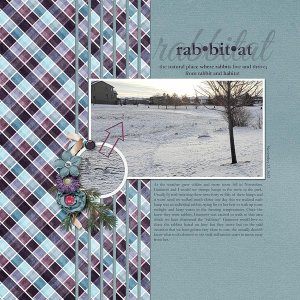 Rabbitat