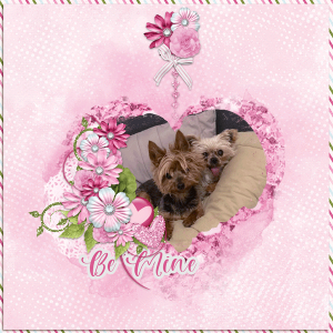 Puppy Love