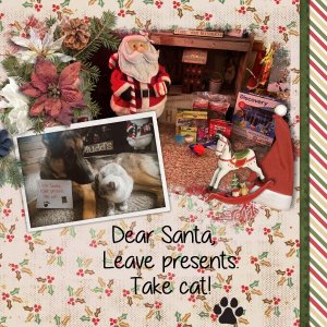 Dear Santa