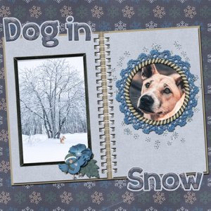 Dog in Snow
