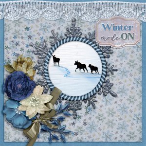 Winter-mode-on1