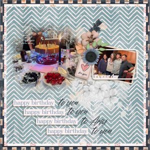 2023-02-2023FamilyAmyBirthdayWeb