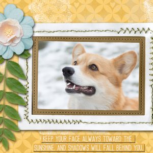 Face the Sunshine