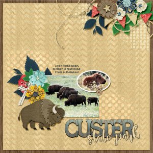 Custer State park